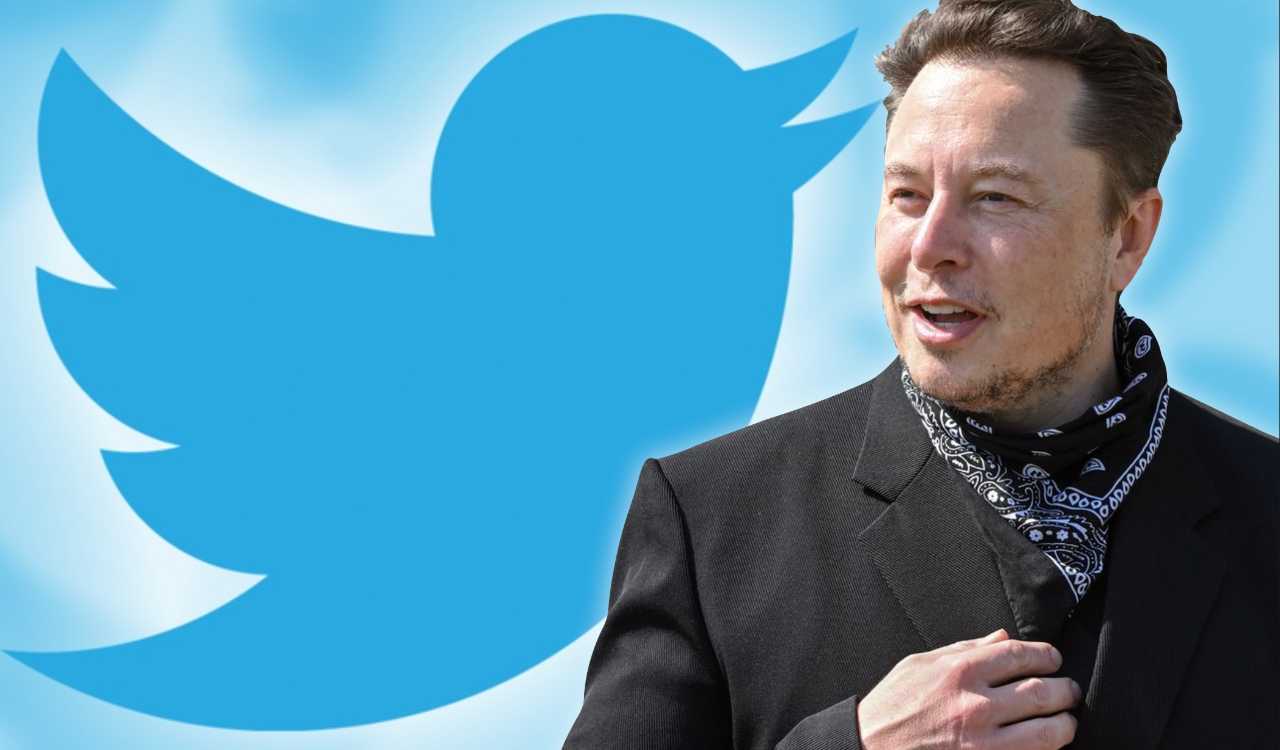 elon musk twitter blue