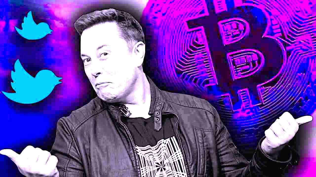 elon musk truthgpt openai intelligenza artificiale chatgpt