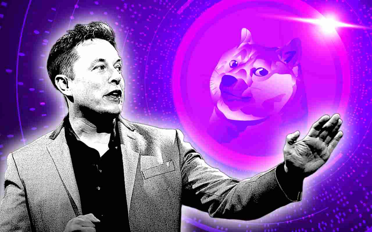 Elon Musk dogecoin doge
